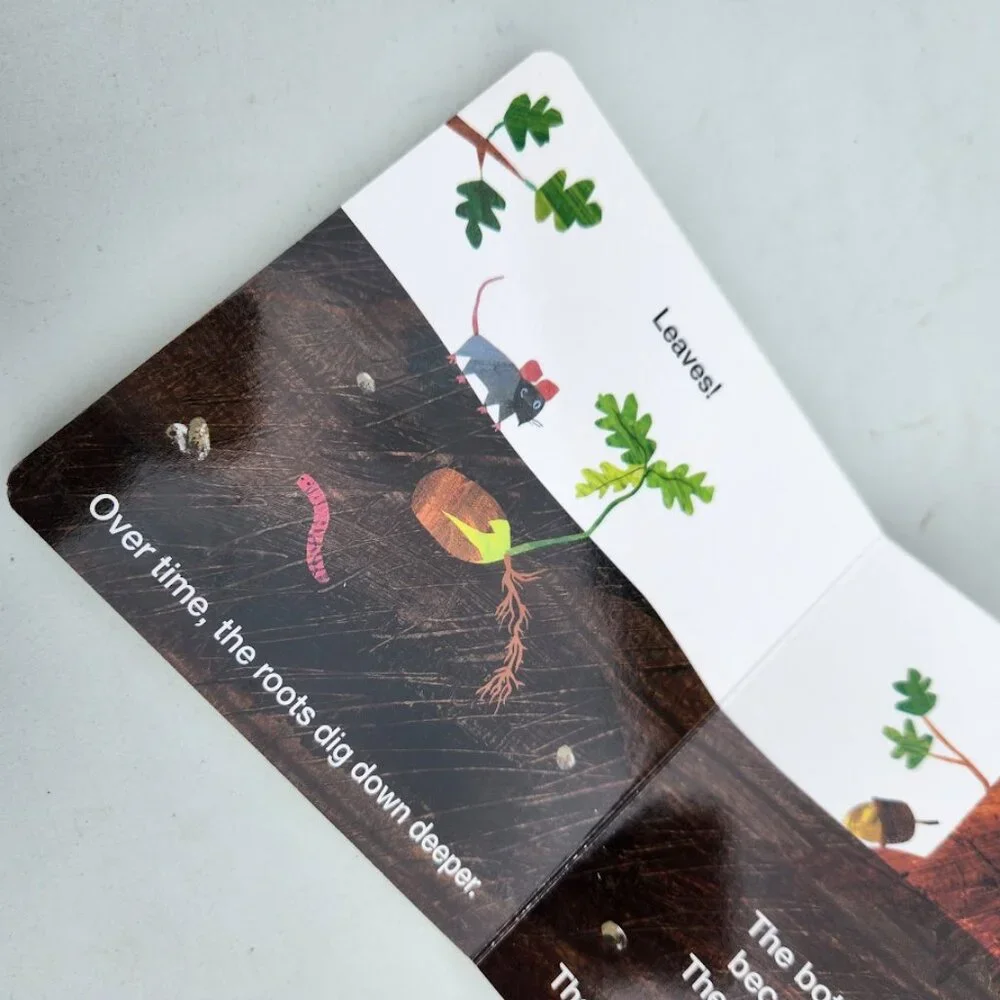 How Does a Seed Sprout? Eric Carle Board Book Toddler Learning Children's books